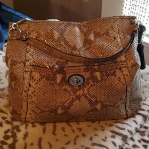 Coach Park Python Carryall